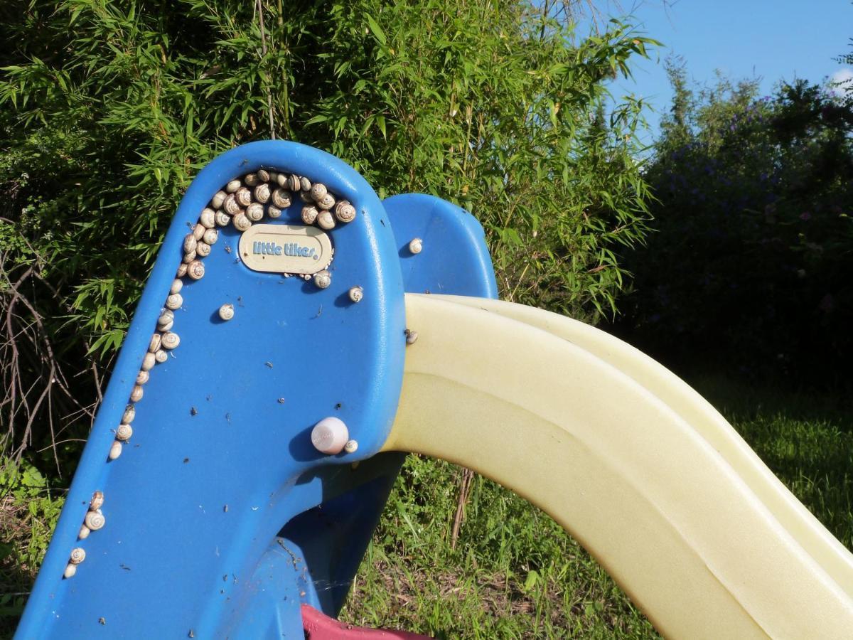 Gite Des Figuiersカルカソンヌ エクステリア 写真